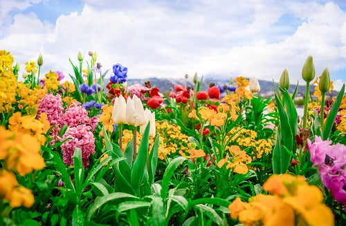 Floral